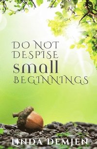 bokomslag Do Not Despise Small Beginnings