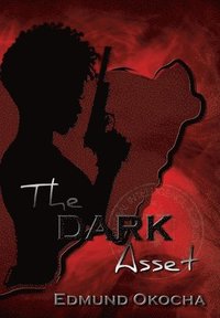 bokomslag The Dark Asset