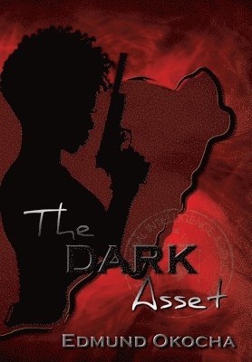 bokomslag Dark Asset
