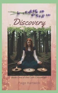 bokomslag Discovery