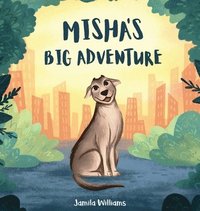 bokomslag Misha's Big Adventure