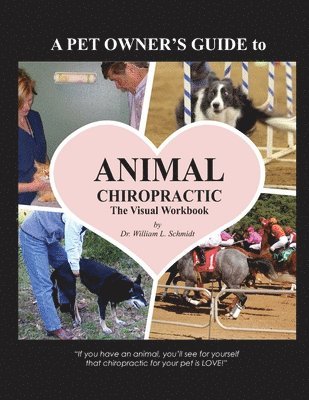 bokomslag Pet Owner's Guide to Animal Chiropractic