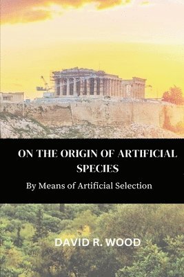 David R Wood - On the Origin of Artificial Species, Häftad