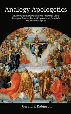 bokomslag Analogy Apologetics