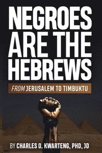 bokomslag Negroes Are the Hebrews