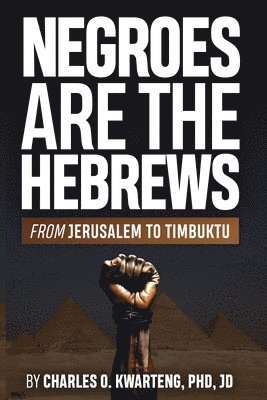 bokomslag Negroes Are the Hebrews