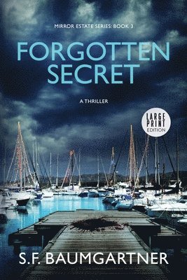 Forgotten Secret (Large Print)