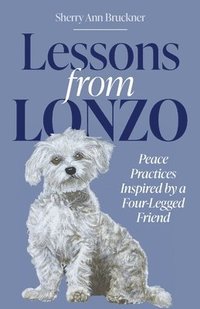 bokomslag Lessons from Lonzo