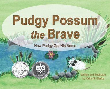 bokomslag Pudgy Possum the Brave