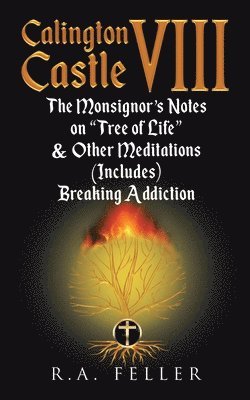 Calington Castle VIII