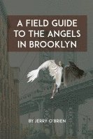 bokomslag A Field Guide to the Angels in Brooklyn