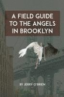 bokomslag Field Guide to the Angels in Brooklyn