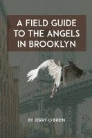 Field Guide to the Angels in Brooklyn
