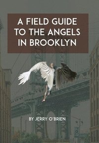 bokomslag A Field Guide to the Angels in Brooklyn