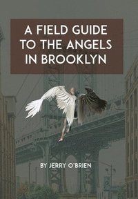 bokomslag Field Guide to the Angels in Brooklyn