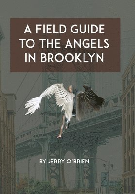 bokomslag A Field Guide to the Angels in Brooklyn