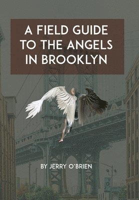 bokomslag Field Guide to the Angels in Brooklyn