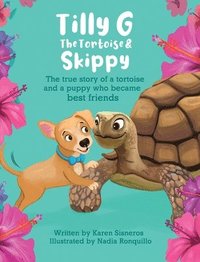 bokomslag Tilly G The Tortoise & Skippy