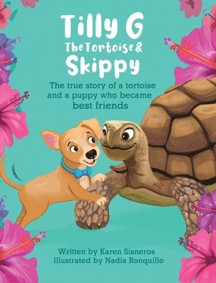 Tilly G The Tortoise & Skippy 1