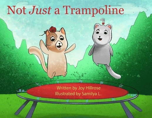 Not Just a Trampoline 1