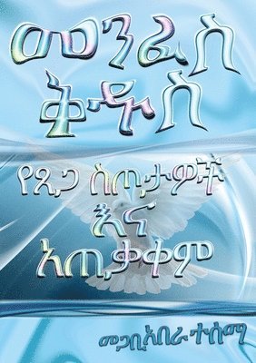 Aberra W Tessema, Aberra W. Tessema - Holy Spirit and his gifts operation, Häftad