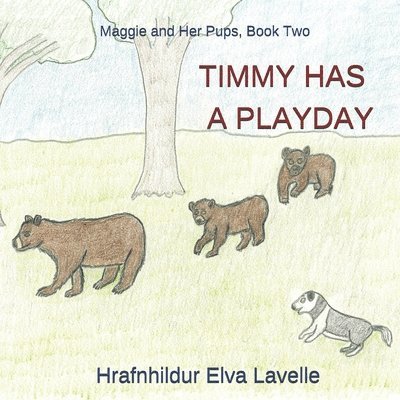 Timmy Has a Playday 1