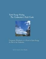 bokomslag Earth Energy Healing The Gridworker's Field Guide
