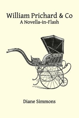 bokomslag William Prichard & Co A Novella-in-Flash