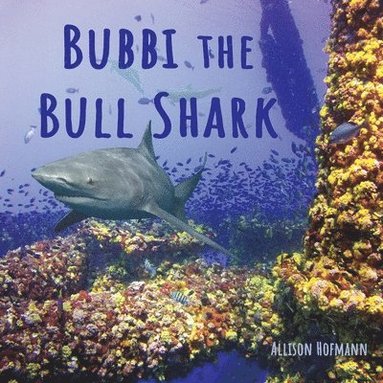 bokomslag Bubbi the Bull Shark