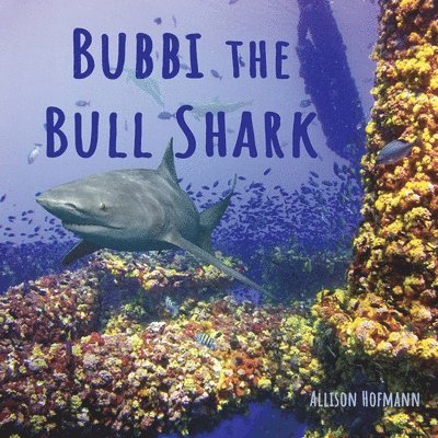 Bubbi the Bull Shark 1