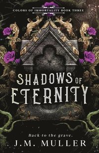 bokomslag Shadows of Eternity