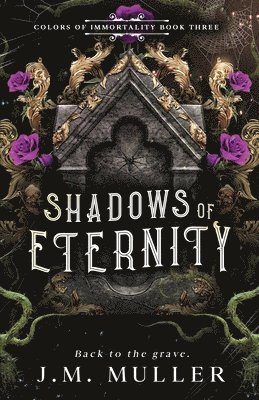 J M Muller - Shadows of Eternity, Häftad