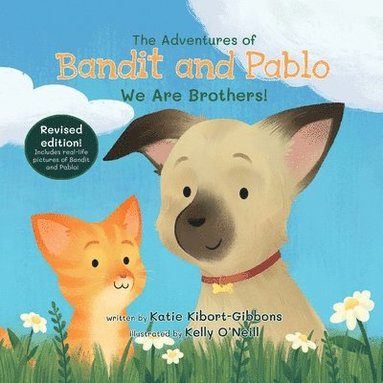 bokomslag Adventures of Bandit and Pablo
