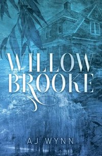 bokomslag Willowbrooke: A slow burn mystery romance