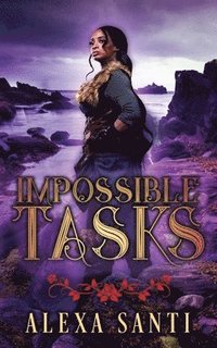 bokomslag Impossible Tasks