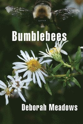 bokomslag Bumblebees