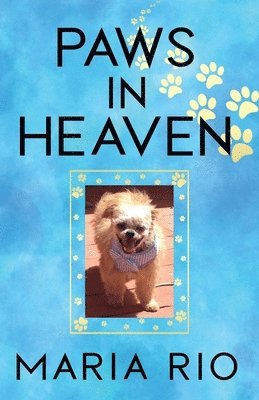 Paws In Heaven 1