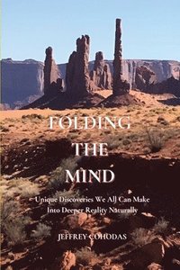bokomslag Folding The Mind