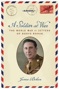 bokomslag Soldier at War