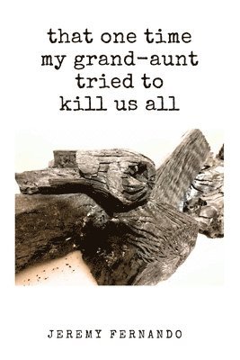 Jeremy Fernando - that one time my grand-aunt tried to kill us all & some such tales, Häftad