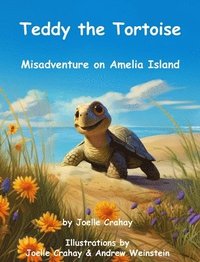 bokomslag Teddy the Tortoise, Misadventure on Amelia Island