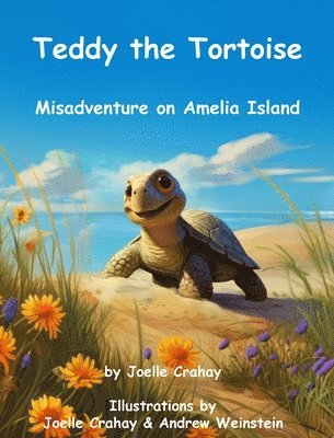 Teddy the Tortoise, Misadventure on Amelia Island 1