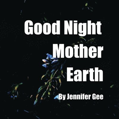 Good Night Mother Earth 1