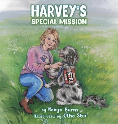 bokomslag Harvey's Special Mission