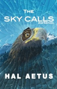 bokomslag Sky Calls