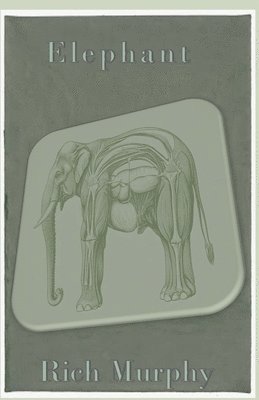 Rich Murphy - Elephant, Häftad