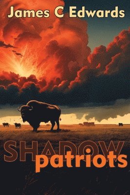 Shadow Patriots 1