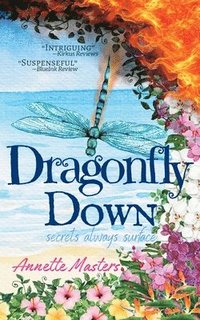 bokomslag Dragonfly Down