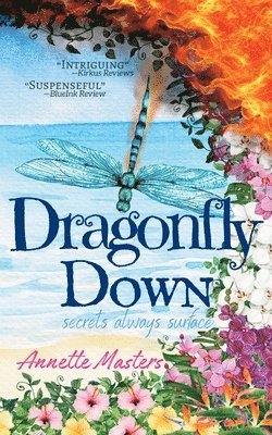 bokomslag Dragonfly Down