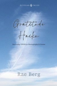 bokomslag Gratitude Haiku